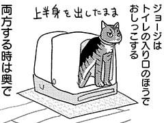 第294話