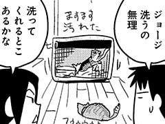 第184話