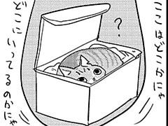第260話