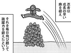204コマ目