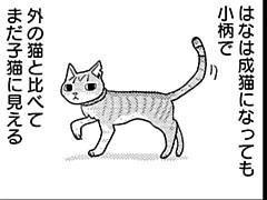 第91話