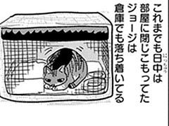 第176話