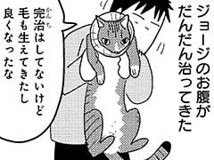 第284話