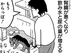 第204話