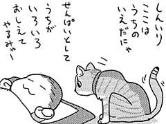 第269話