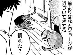 第217話
