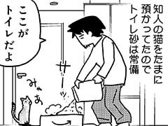 第8話