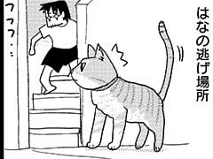 第146話