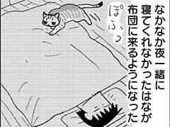 第355話