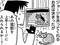 第185話