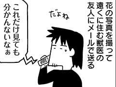 第164話