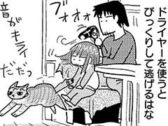 第213話
