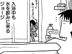 第243話