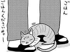 第255話