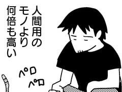 第22話