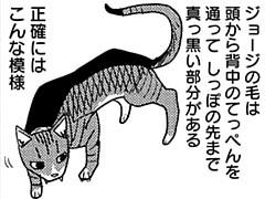 第337話