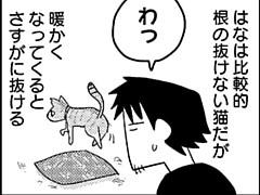 第81話