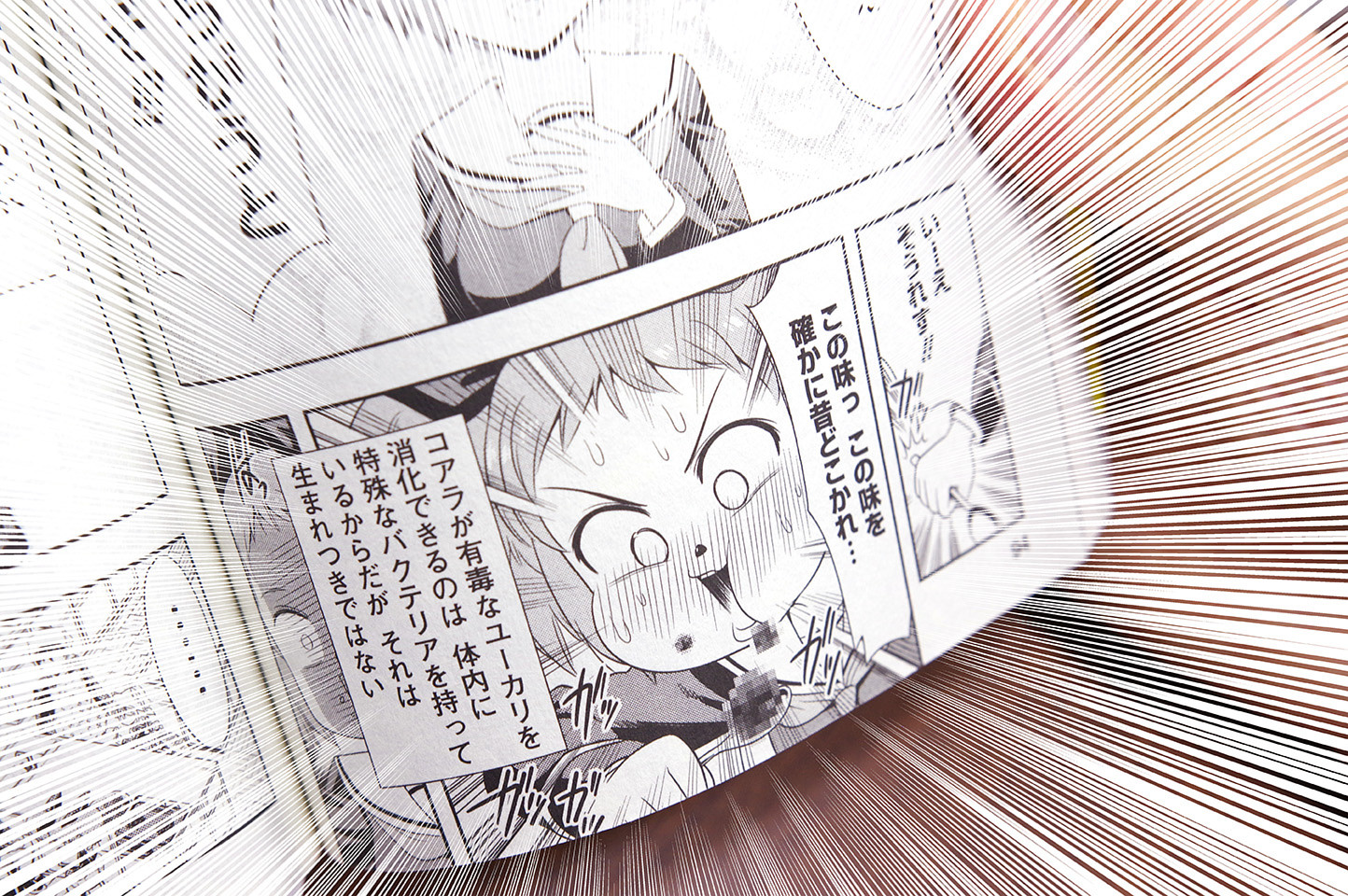 群れなせ シートン学園 特別企画 サイコミ 群れなせ シートン学園 特別企画 サイコミ