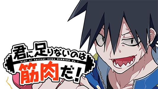 君に足りないのは筋肉だ!
